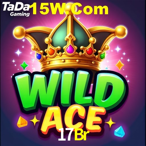 17Br App Interface